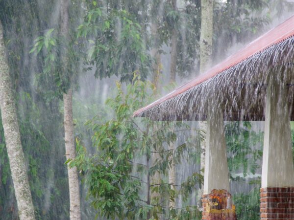 屋根からつたう土砂降りの雨