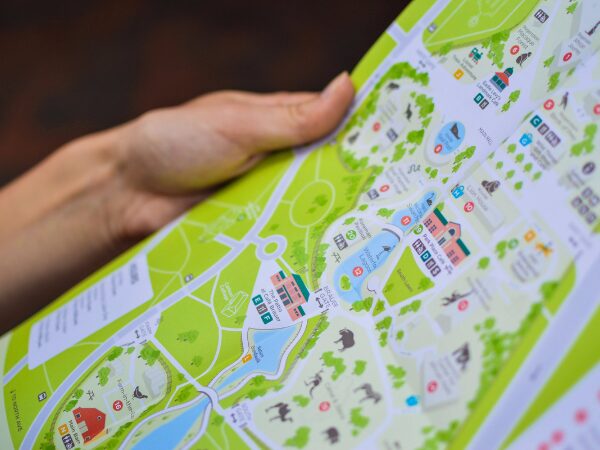 地図を持っている左手