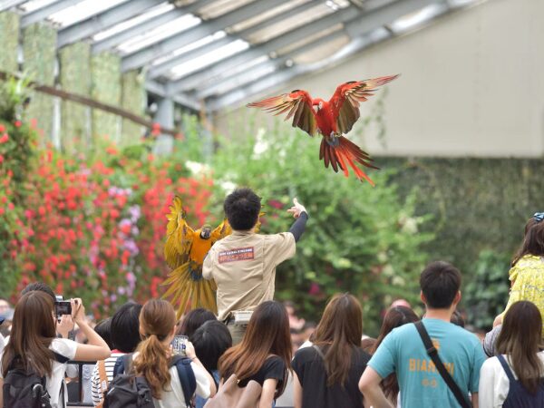 神戸どうぶつ王国