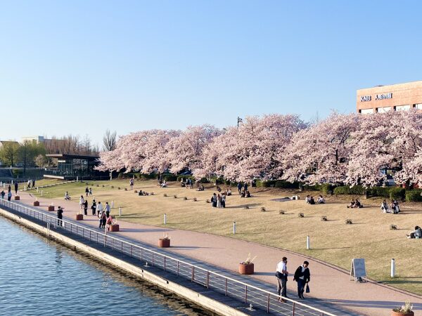 富岩運河環水公園