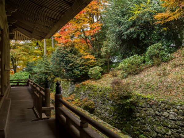 紅葉している寺の庭